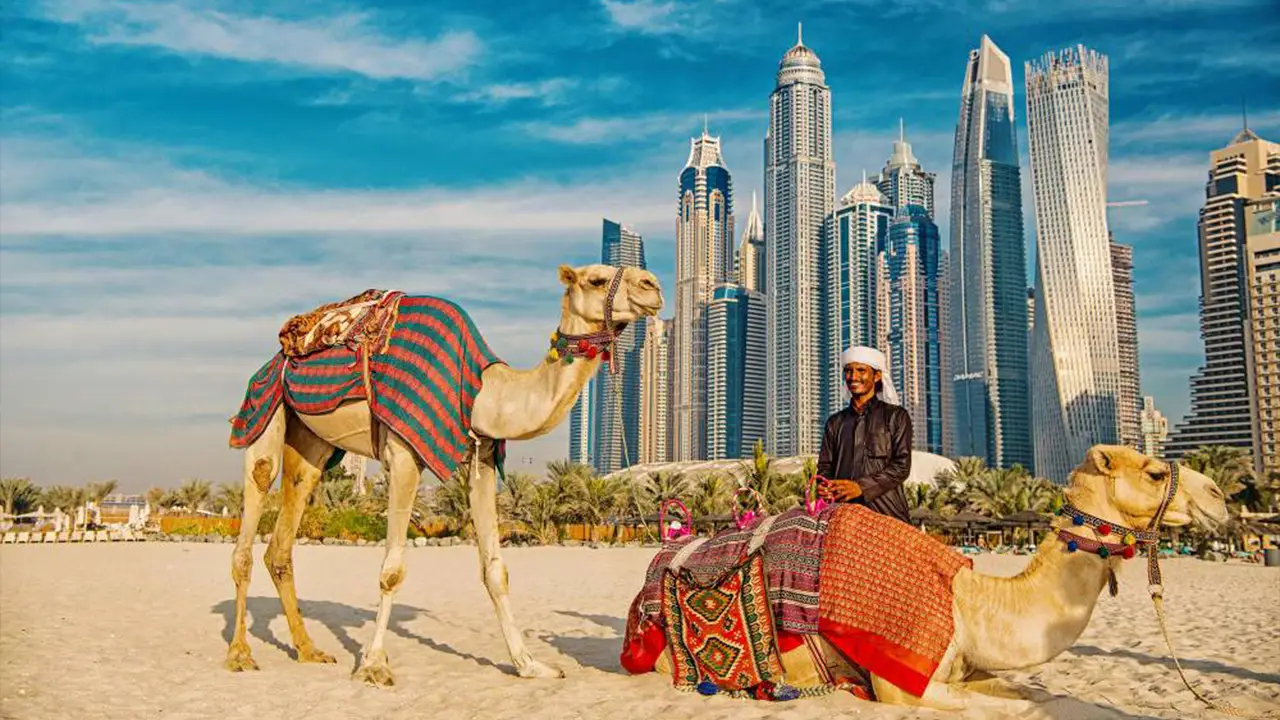 Leao-Group-Dubai-Fotos-33.webp